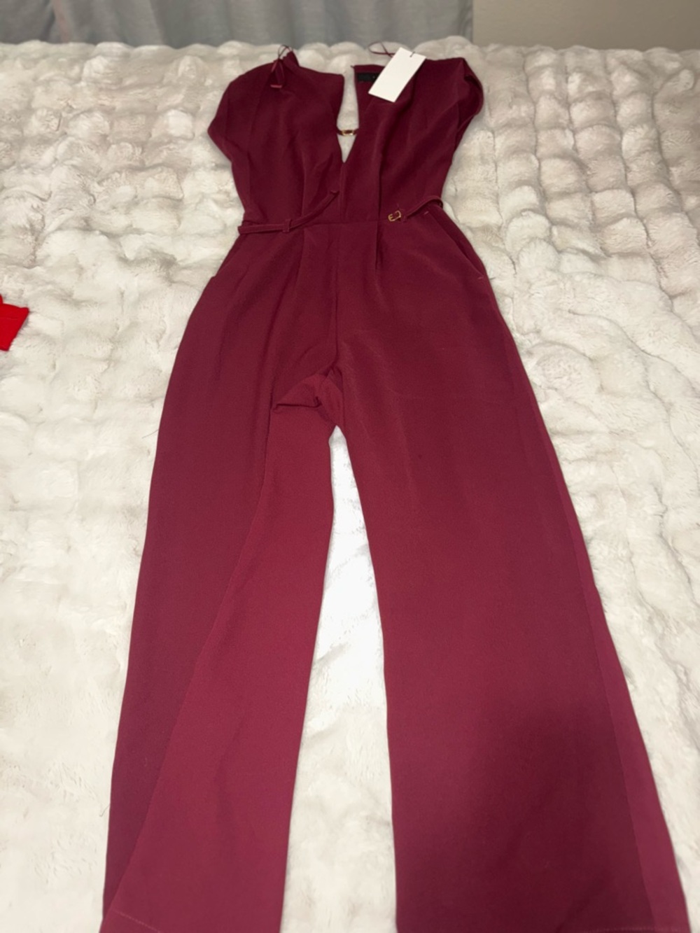 Zara Sleeveless V-Neck Wide-Leg Jumpsuit in Burgundy